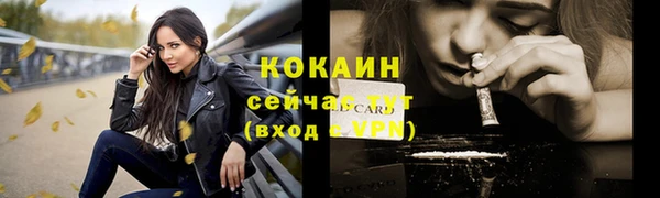 мескалин Богородицк