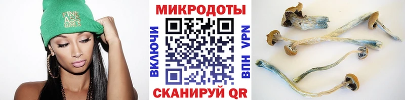 Псилоцибиновые грибы Cubensis  Баксан 